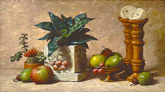 Still life with a plant in a cement pot